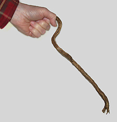 Holding the "Proto-Hummer"