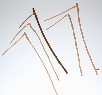 Found and prepared birch and plum twigs ready to become Hummers.