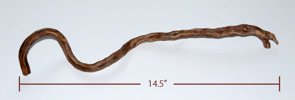 The twig that inspired The Hummer, includes measurement.