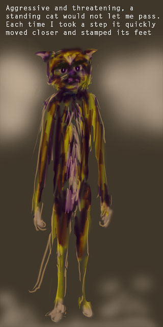 An aggressive cat would not let me pass.